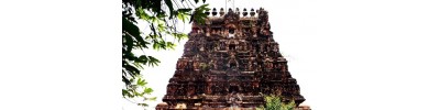 100. திருத்துருத்தி